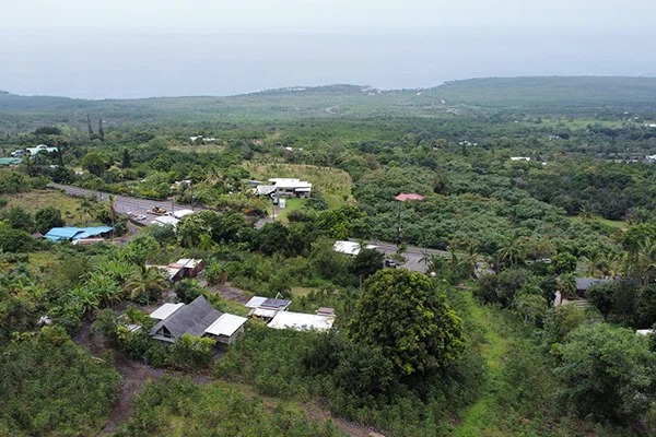 Kona coffee trees growing at 1,600 feet in the certified Kona Coffee Belt, Kona Volcano Farm Hawaii Island