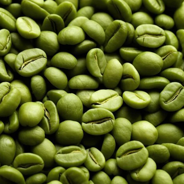 Close-up of unroasted Kona green coffee beans showing uniform size and density, single-estate Hawaii Island