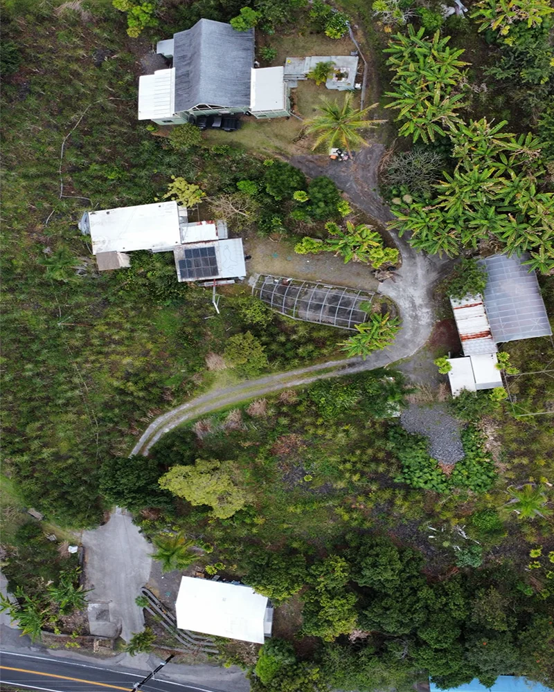 Kona Volcano Farm coffee rows and processing station at 1,600 feet, Captain Cook Hawaii, farm visits by appointment for wholesale buyers